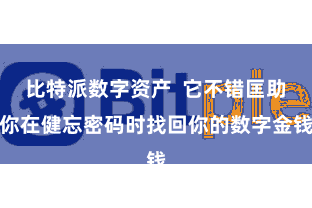 比特派数字资产  它不错匡助你在健忘密码时找回你的数字金钱