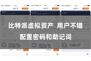比特派虚拟资产  用户不错配置密码和助记词